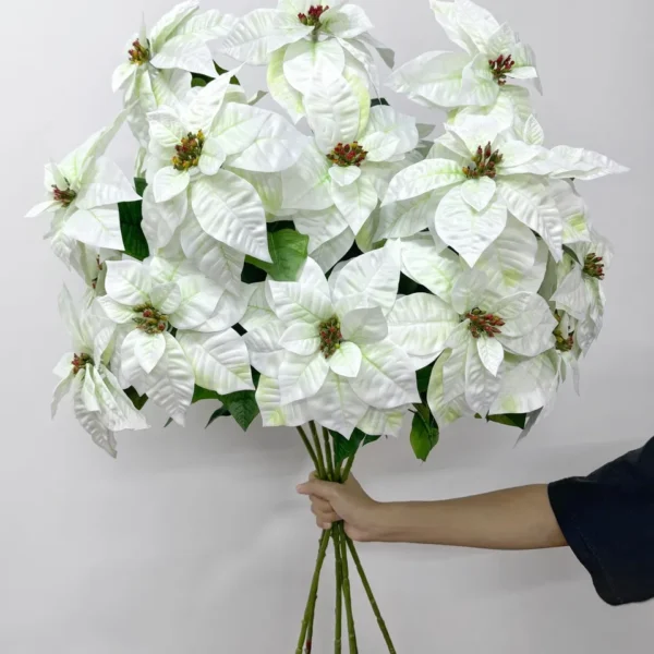 คริสมาสต์XCx3ก้านยาว