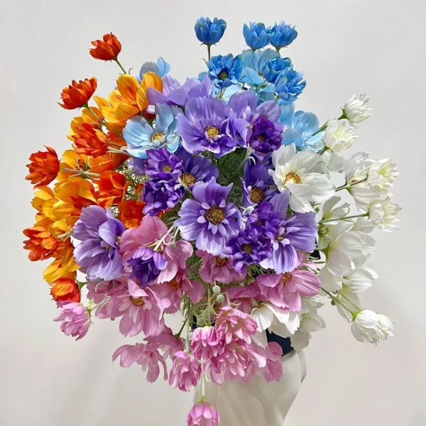 คอสมอสจัมโบ้HFx4ก้านยาว