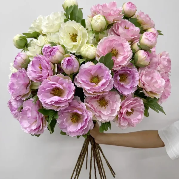 คามิลเลียTYx3ก้านยาว