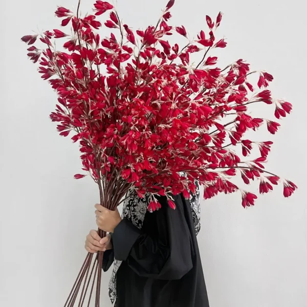 ซัลเวียALXx4