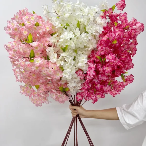 ซากุระJME002