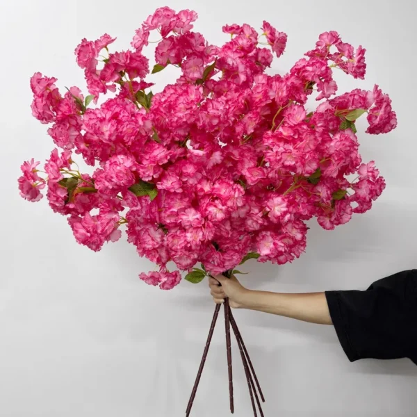 ซากุระXL001