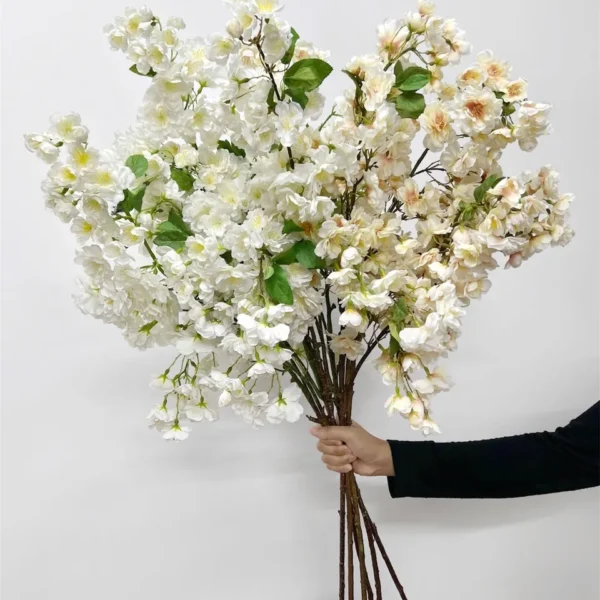 ซากุระญี่ปุ่นx3