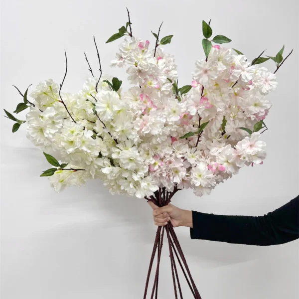 ซากุระบานกลางก้านยาว