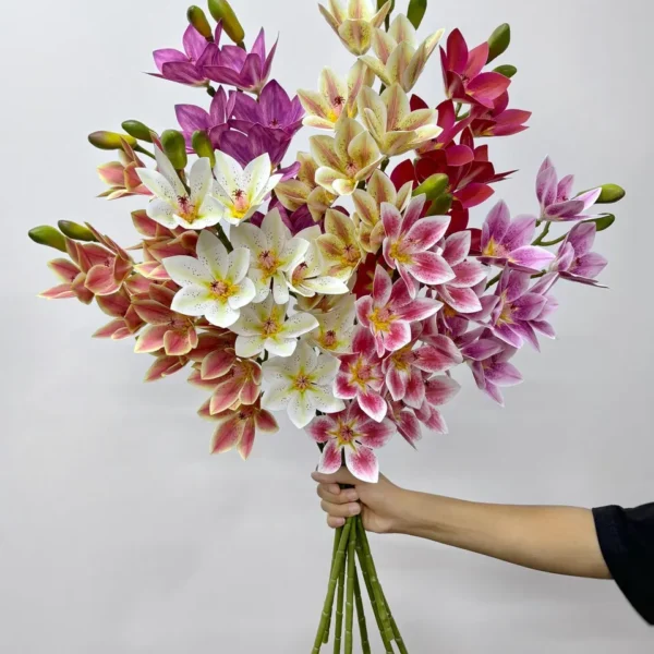 ดอกซิมบิเดี้ยมเคลือบRXx1