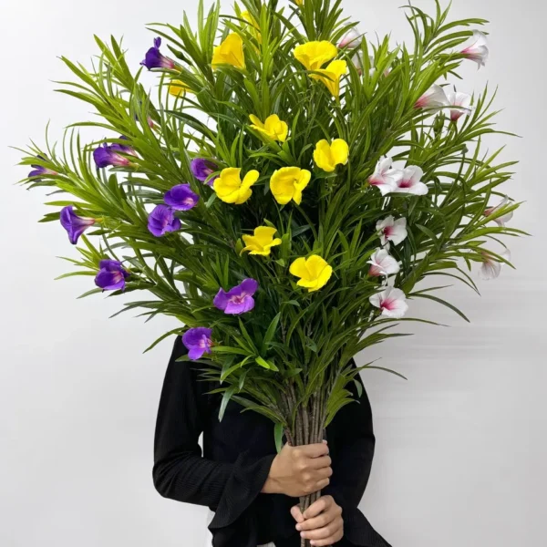 ดอกรำเพยใหญ่HJx7ก้านยาว