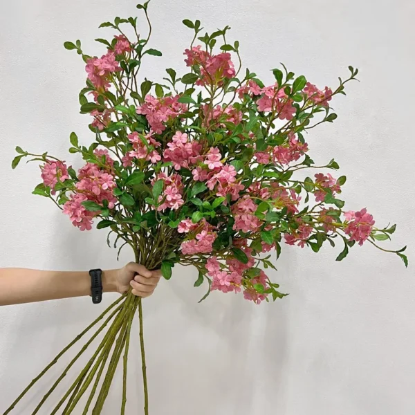 ดอกแก้วHJก้านยาวชมพูรวม