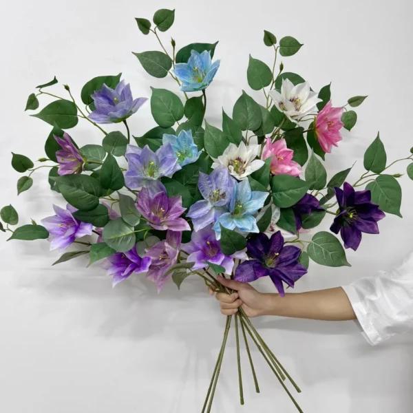 ดาวประดับก้านยาวHF