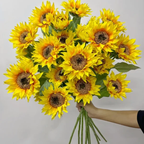 ทานตะวันTYx3ก้านยาว