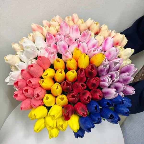 ทิวลิปฮอลแลนด์CJ