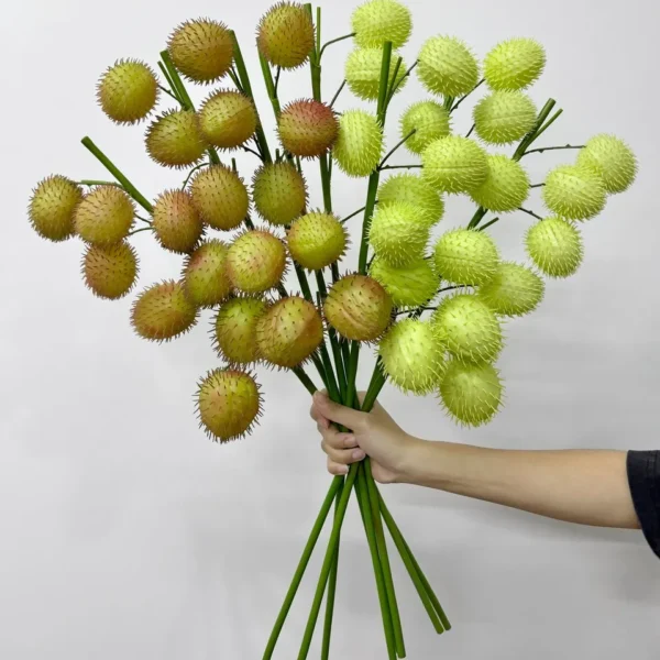 บอลลูนฟรุตHCx5ก้านยาว