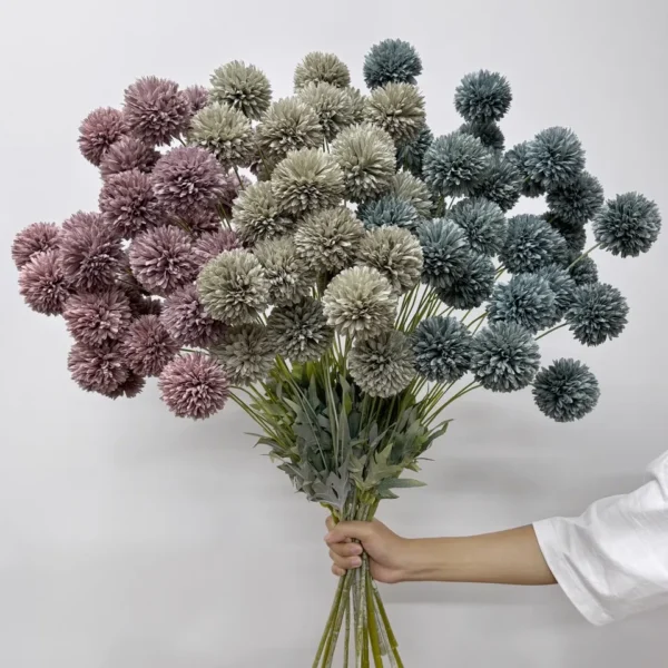 ปอมปอมx5