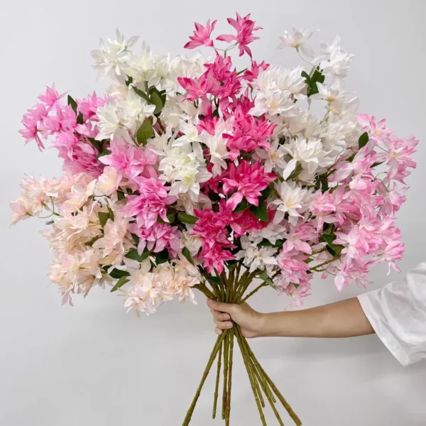 พวงชมพูJMEก้านยาว