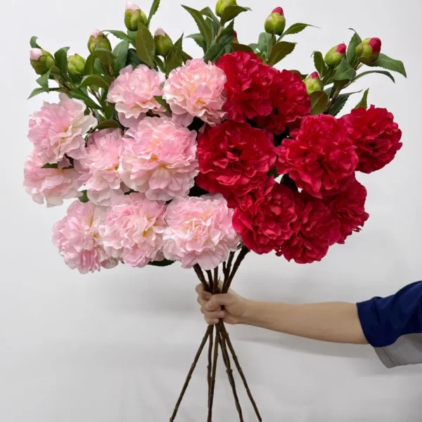 พีโอนี่x5ก้านยาว