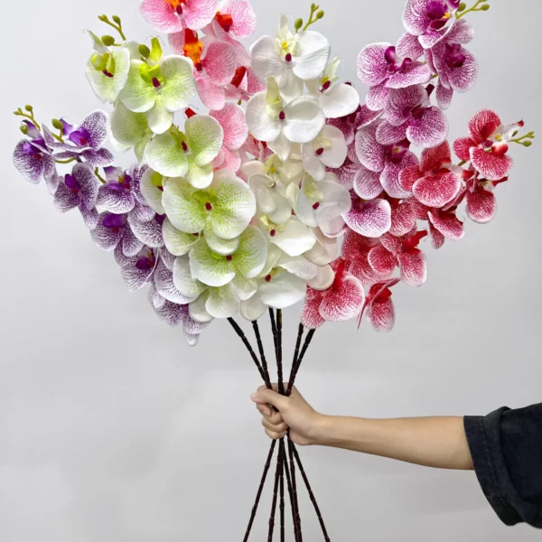 ฟาแลนJSx9ใหม่