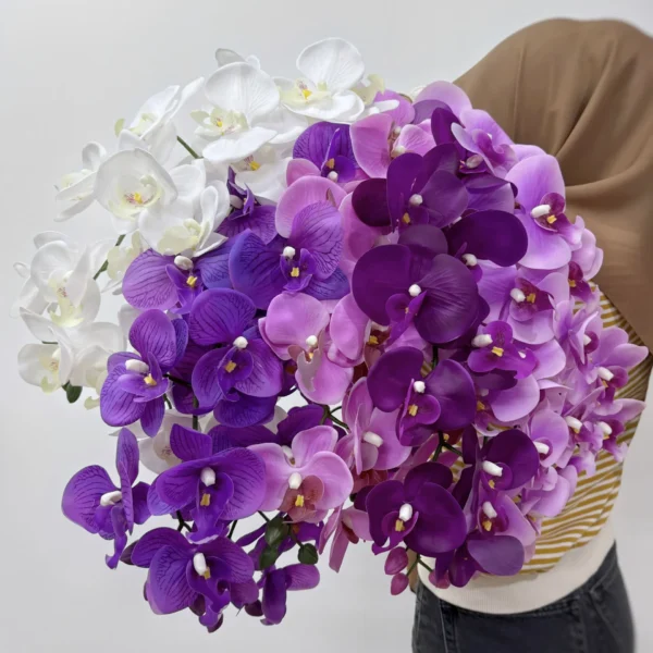 ฟาแลนยางHCx9