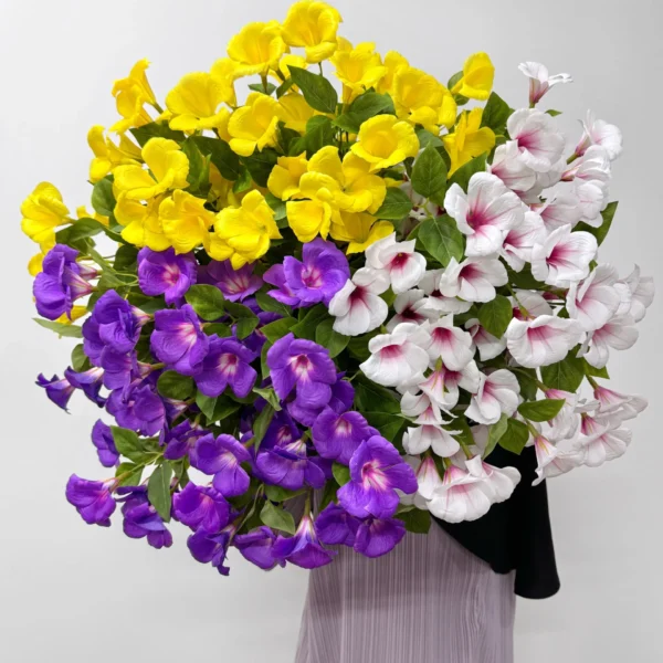 มอนิ่งกอลี่HJก้านยาว