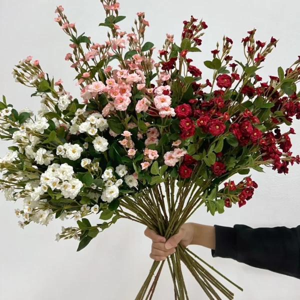 มินิโรสLYBx2ก้านยาว