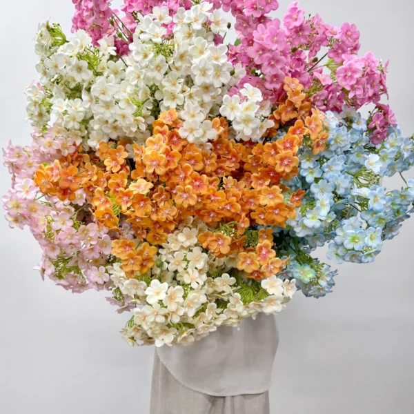 มินิไฮเดนเยียเกาหลีก้านยาว