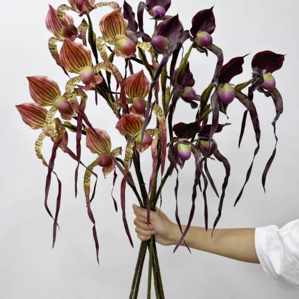 รองเท้านารีx3