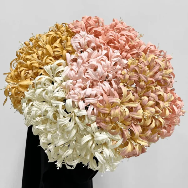 รางทองXHx1