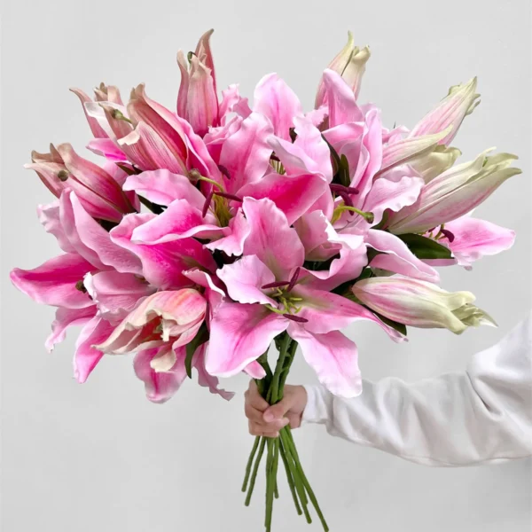 ลิลลี่x2ใหม่