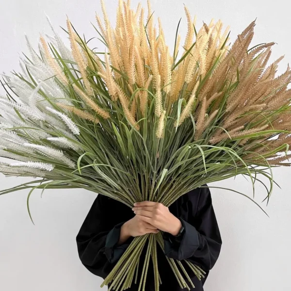 หญ้าหางกระรอกวินเทจSDก้านยาว