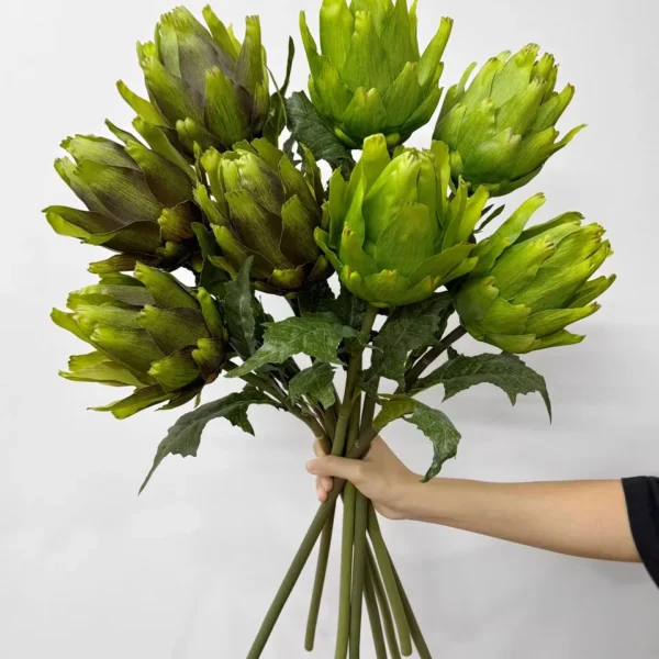 อติโช้คบานx1