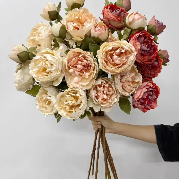 ออทั่มวินเทจTYx3รวม