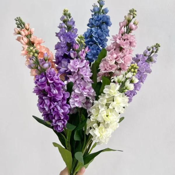 เดลฟีเนียมHFx1ก้านยาว