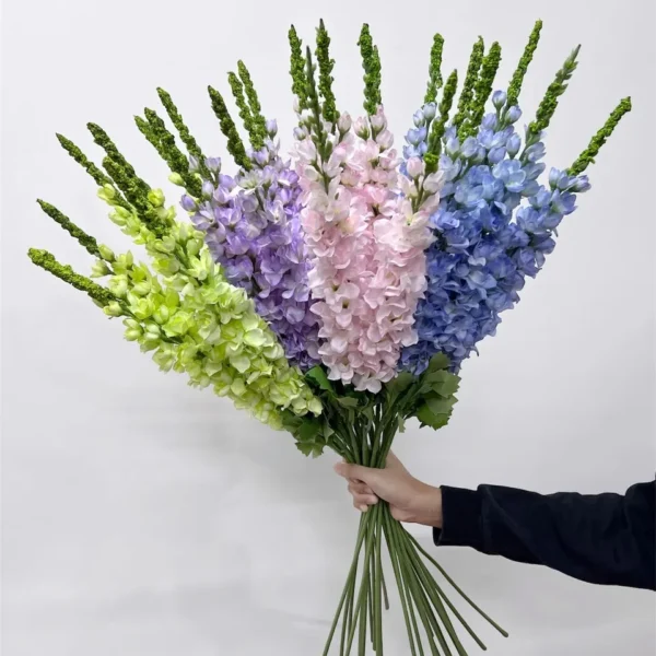 เดลฟีเนียมx1เล็ก