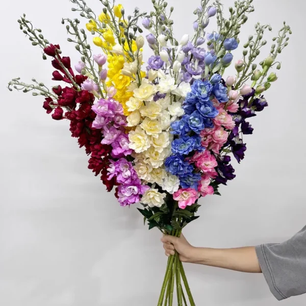 เดลฟีเนียมจัมโบ้CYx1