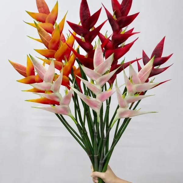 เบิร์ดออฟพาราไดซ์ยางHCx1