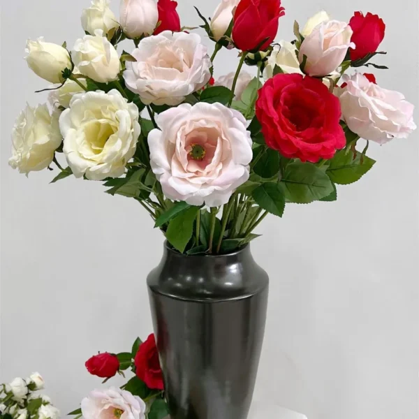 เฮอริเทจx2ก้านยาว