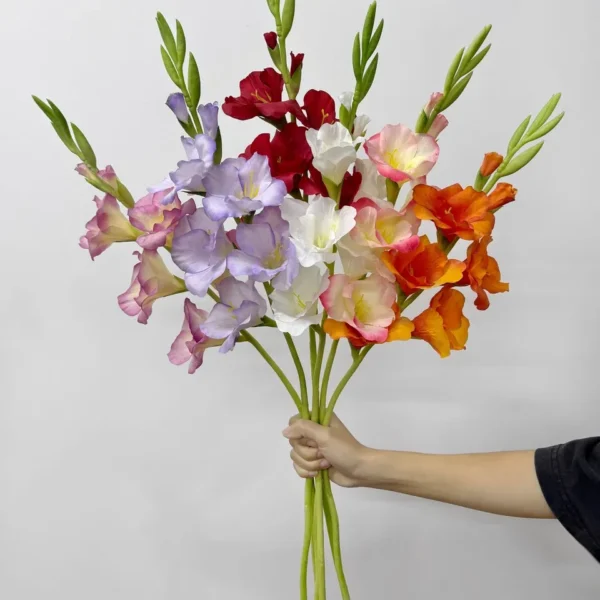 แกลดิโอลัสHFx1ก้านยาว