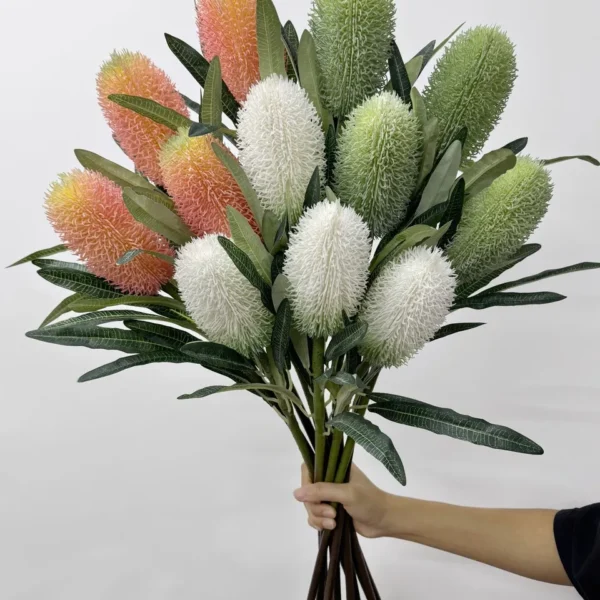 แบงก์เซียHCx1