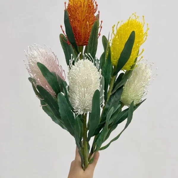 แบงเซียHFx1ก้านยาว