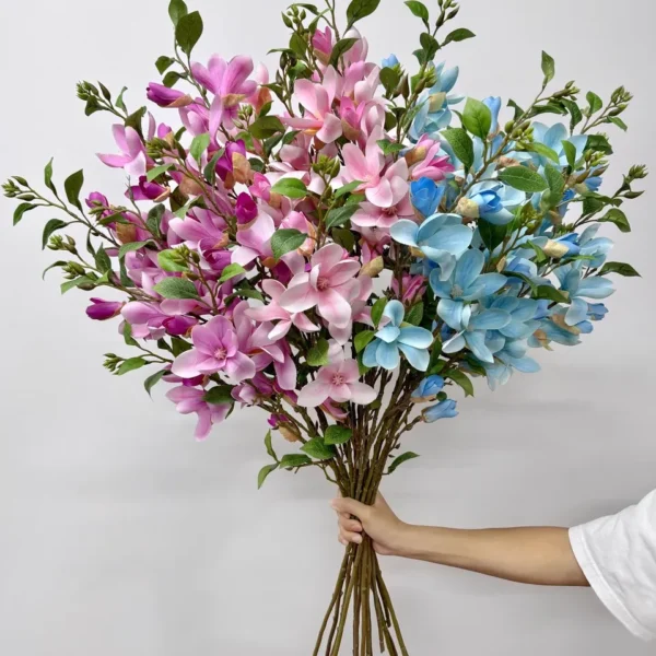 แม็คโนเลียx2ก้านยาว