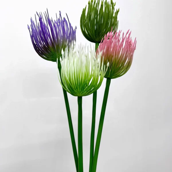 แสงอาทิตย์HCx1