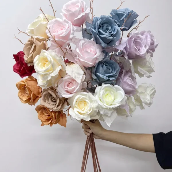 โตลูนโต้วินเทจXY