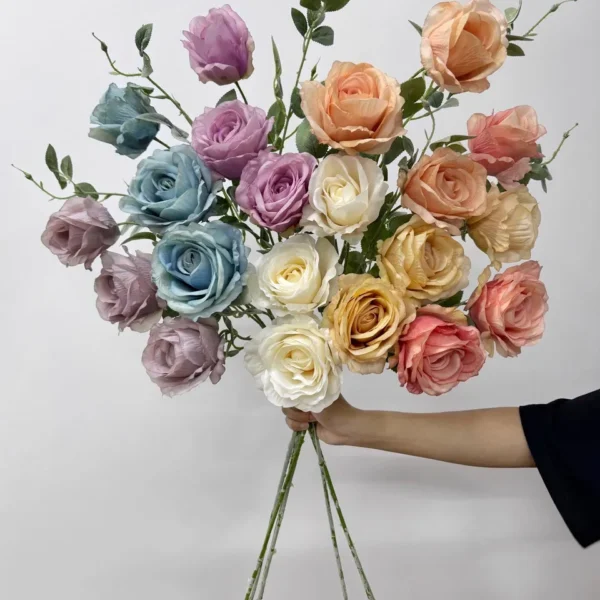 โตลูนโต้วินเทจx3