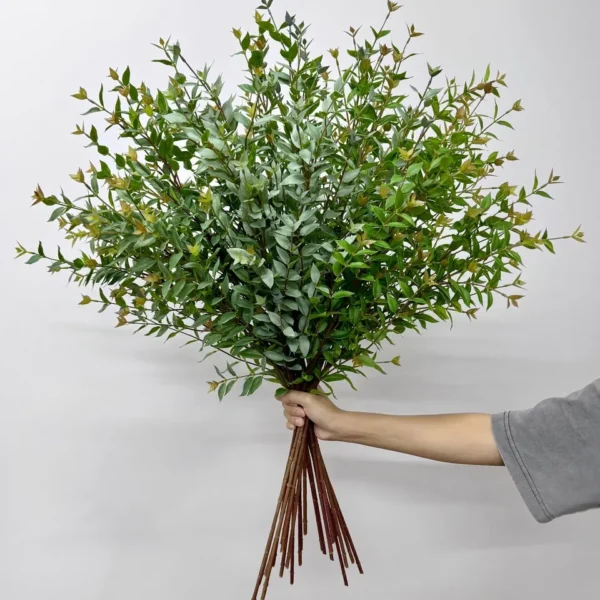 ใบคริสติน่าHJก้านยาว