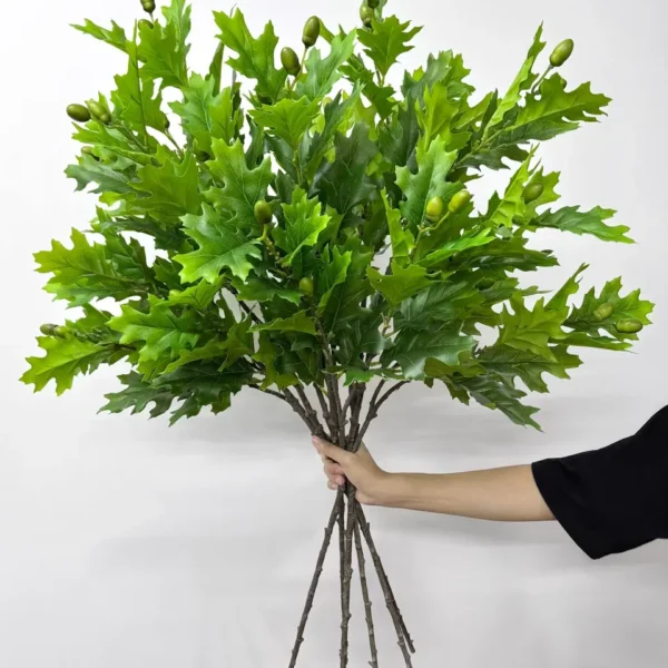 ใบโอ๊คHJx2ก้านยาวใหญ่