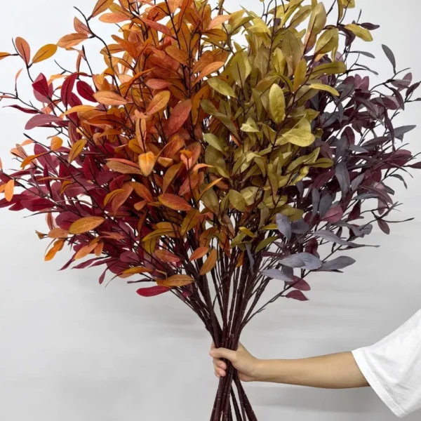 ใบไคร้น้ำวินเทจYCx5