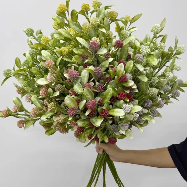 ไข่มุกอันดามันCHx3