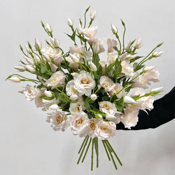 ไลเซ็นทัสใหม่