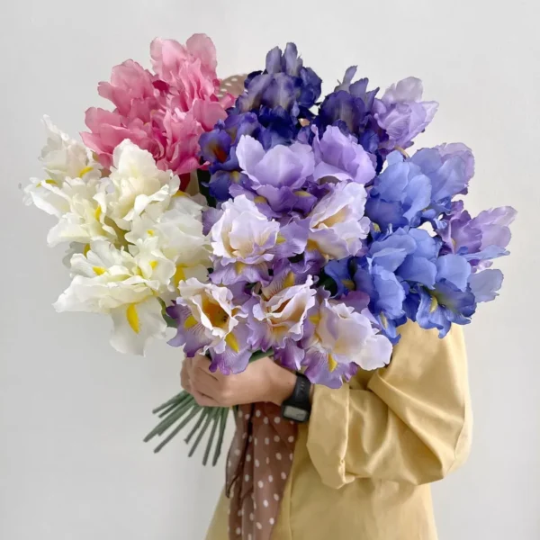 ไอริสHFx1ก้านยาว