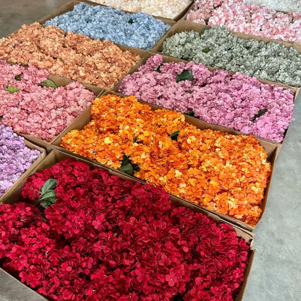 ไฮเดนเยียXHx5