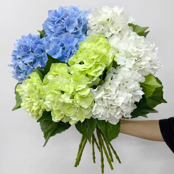 ไฮเดรนเยียยางHJx1